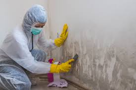 Safford, AZ Mold Remediation Company